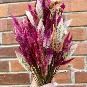 Dried Celosia Flowers. Dry Celosia flower bouquet for arrangements, wedding/bridal shower decor, centerpieces, wreaths, etc. 10 stems/bunch