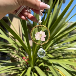 Round Dried Flower Suncatcher