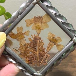 Vintage Diamond-Shaped Suncatcher with Dried Flowers – Handcrafted by Lasting Impressions, 3.25" with Original Sticker